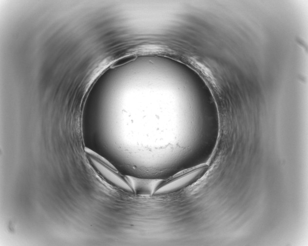 X0000093431473200711021024