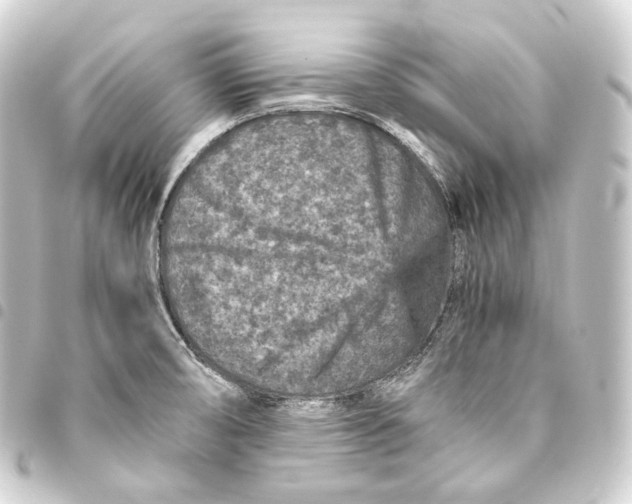 X0000093431474200711021024