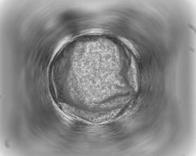 X0000093431475200711021024