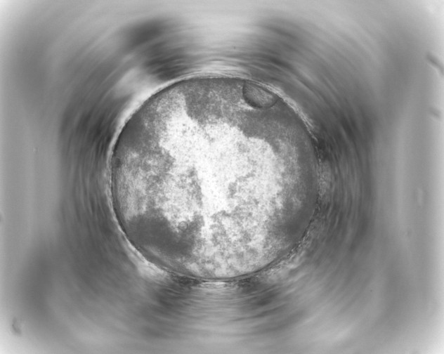 X0000093431478200711021024