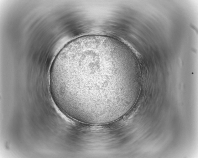 X0000093431479200711021024