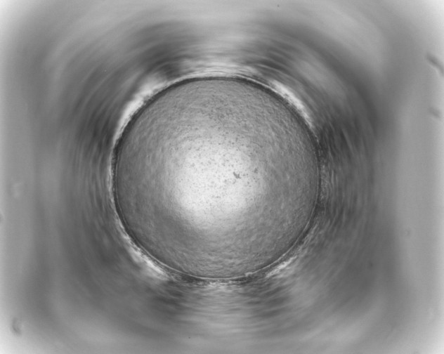 X0000093431480200711021024