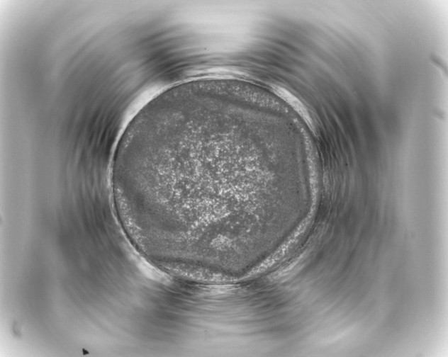 X0000093431482200711021024