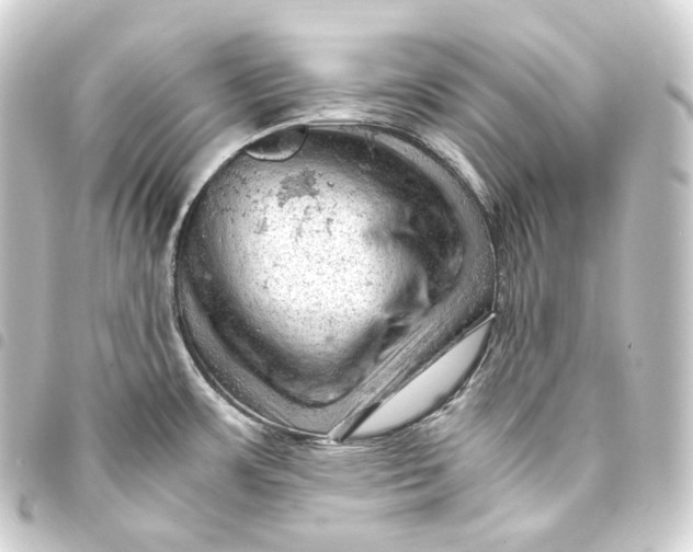 X0000093431483200711021024