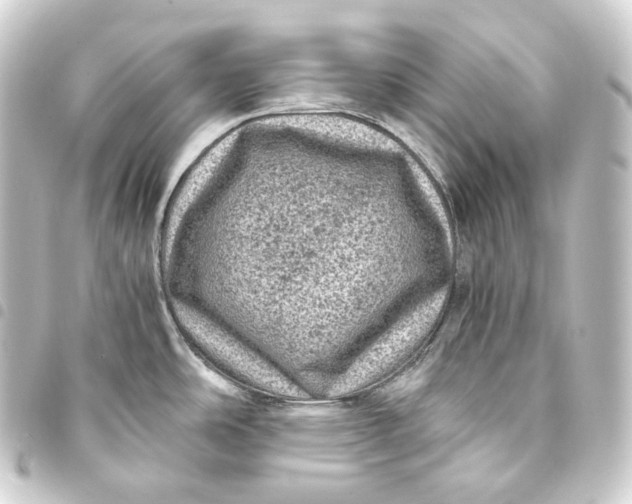 X0000093431486200711021024