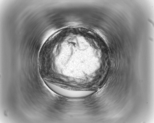 X0000093431487200711021024