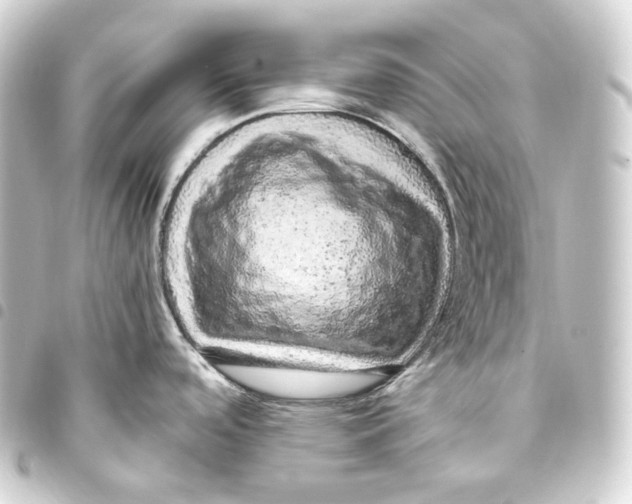 X0000093431488200711021024