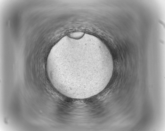 X0000093431489200711021023