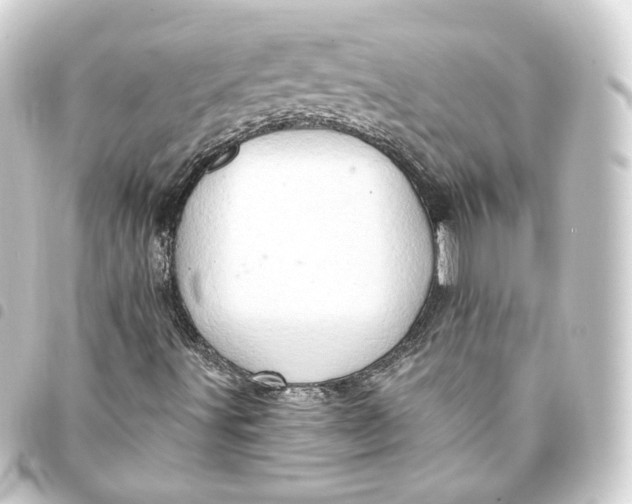 X0000093431491200711021023