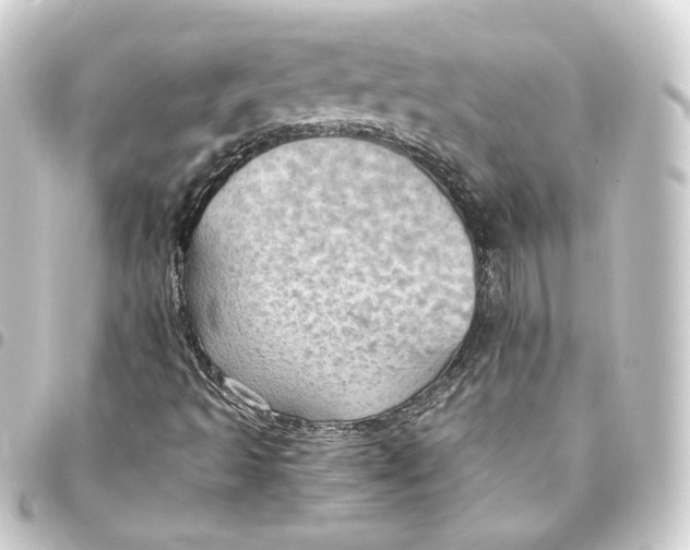 X0000093431493200711021024