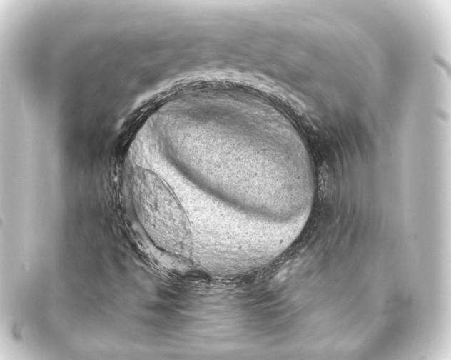 X0000093431494200711021024