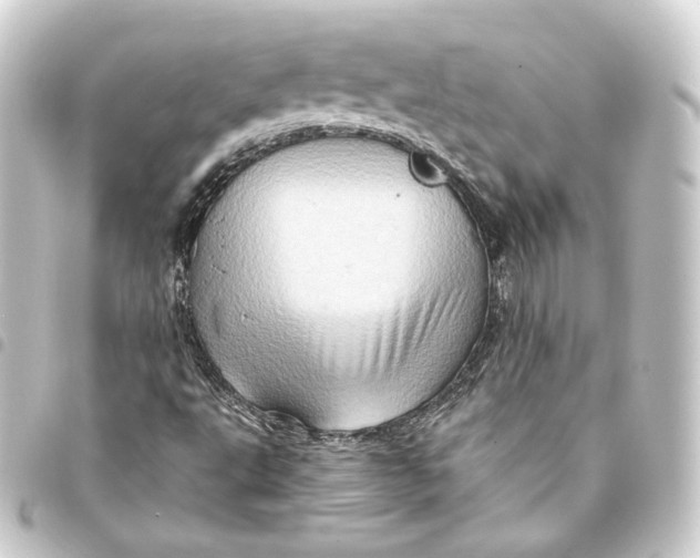 X0000093431495200711021024