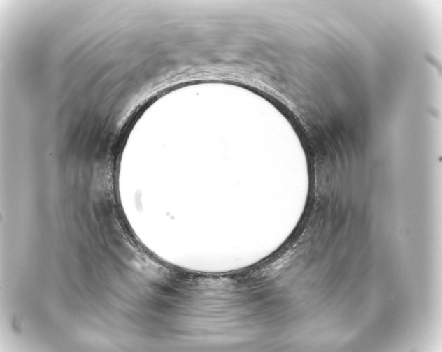 X0000093431498200711021024