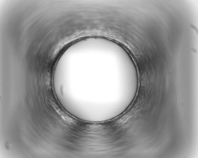 X0000093431499200711021024