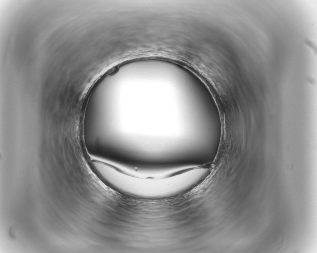 X0000093431500200711021024