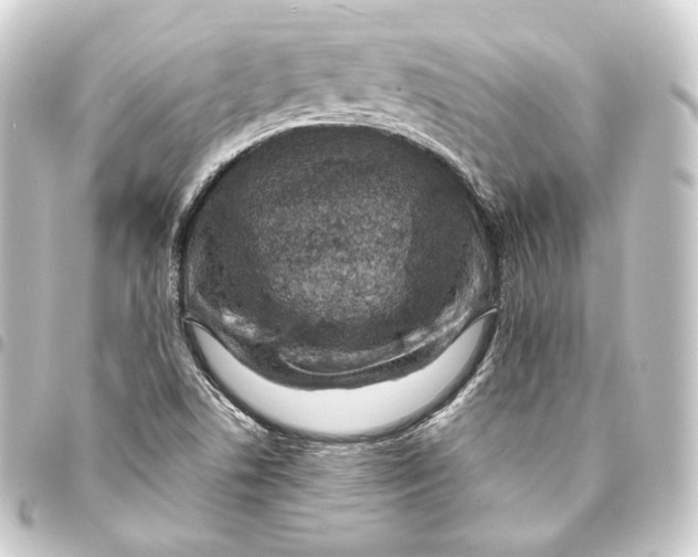 X0000093431506200711021024