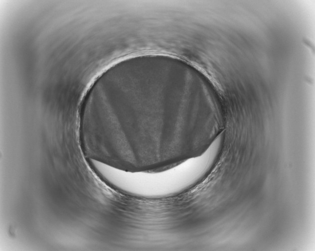 X0000093431508200711021024