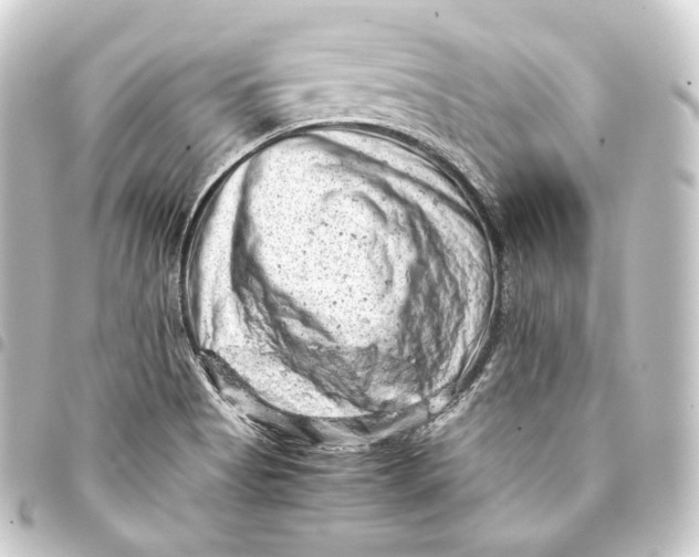 X0000093431513200711021024