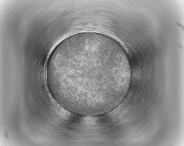 X0000093431514200711021024