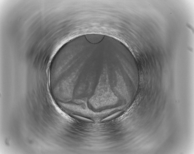 X0000093431515200711021024