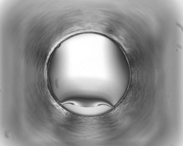 X0000093431516200711021024