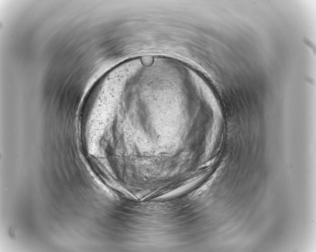 X0000093431517200711021024