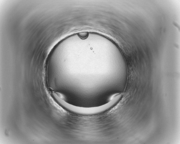 X0000093431518200711021024