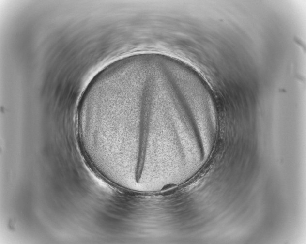 X0000093431519200711021024