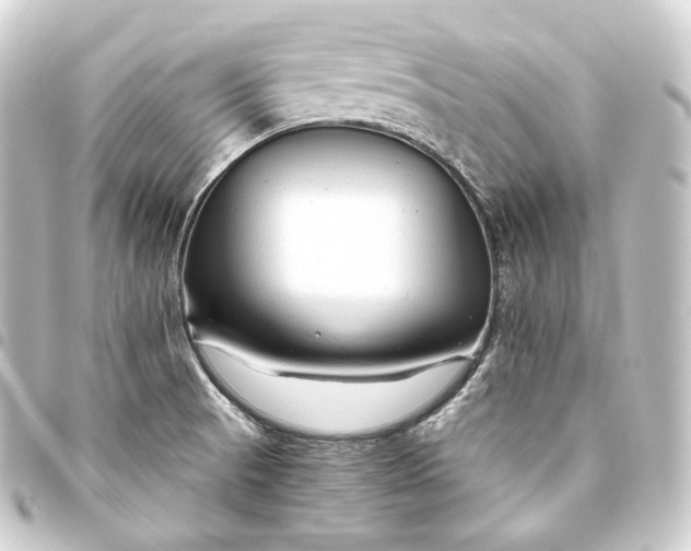 X0000093431521200711021024