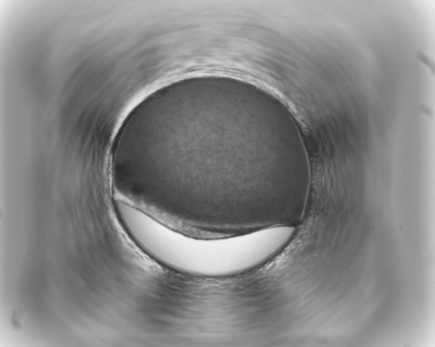 X0000093431522200711021024