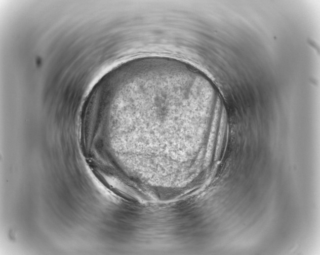 X0000093431523200711021024