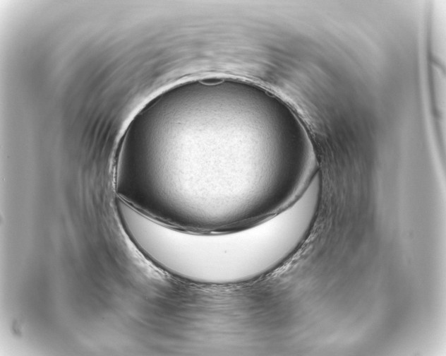 X0000093431524200711021024