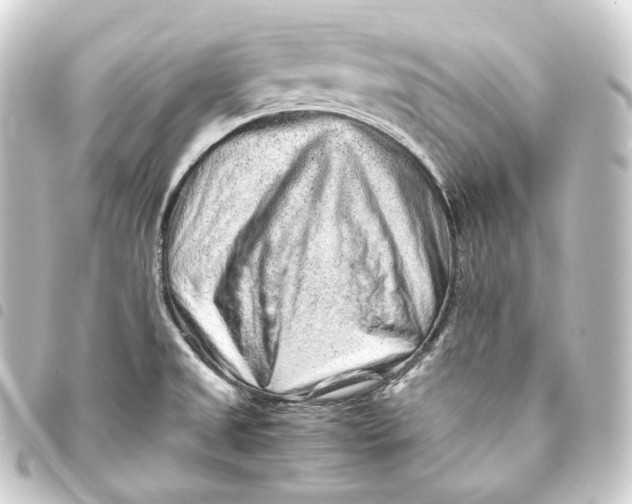 X0000093431525200711021024