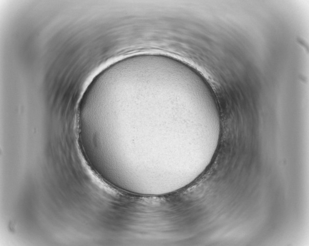 X0000093431526200711021024