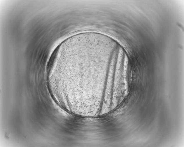 X0000093431527200711021024