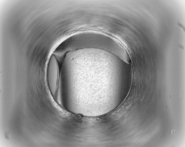 X0000093431528200711021024