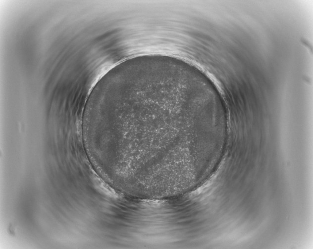 X0000093431529200711021024