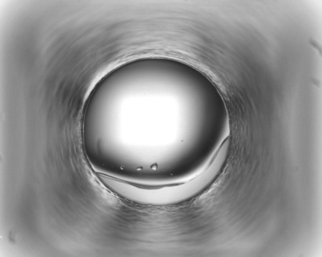 X0000093431530200711021024