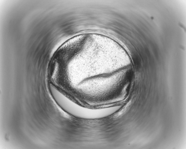 X0000093431533200711021024