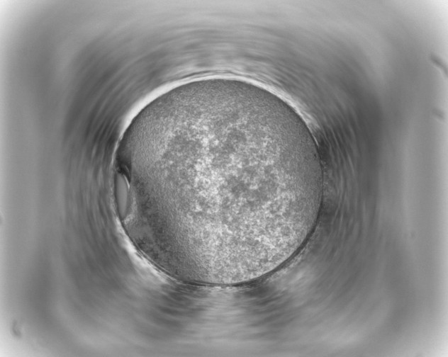 X0000093431534200711021024