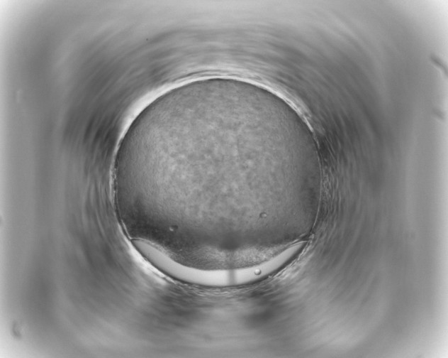 X0000093431535200711021024