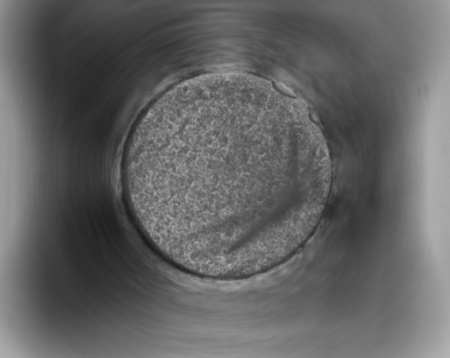 X0000093430002200711091444