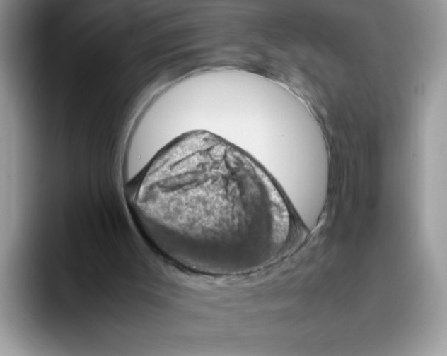 X0000093430003200711091444
