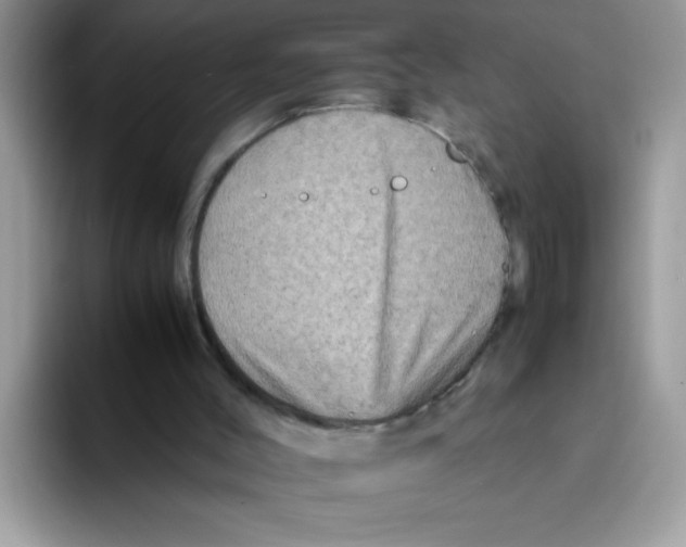 X0000093430004200711091444