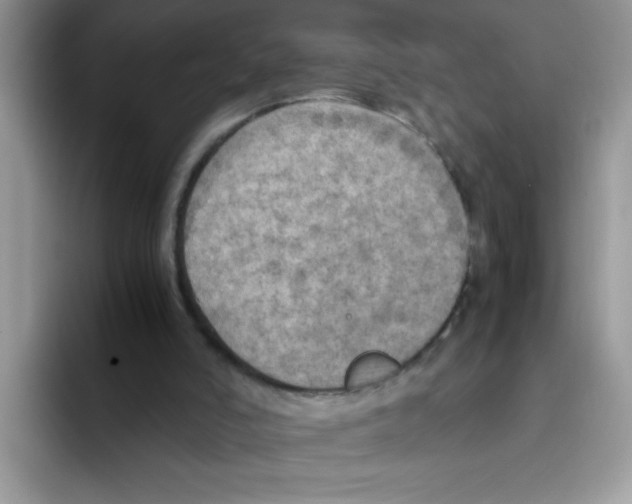 X0000093430006200711091444