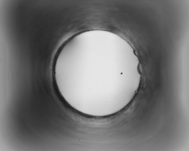 X0000093430008200711091444