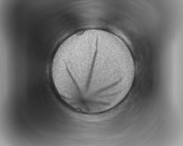 X0000093430010200711091444