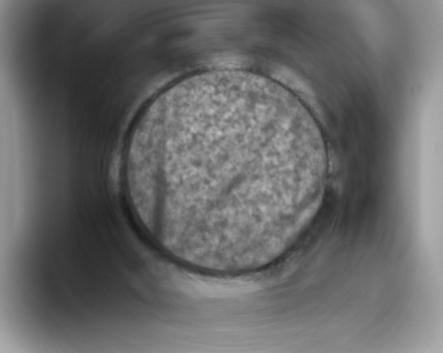 X0000093430012200711091444