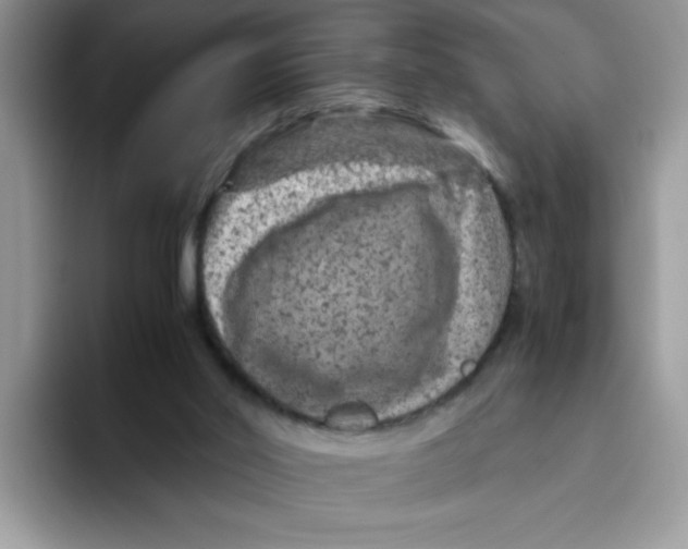 X0000093430014200711091444