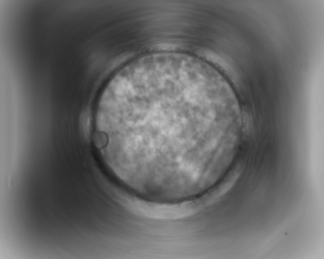 X0000093430016200711091444